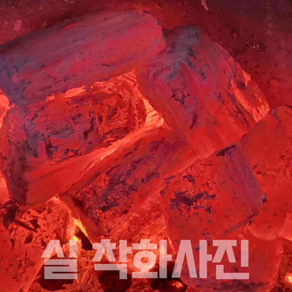 화랑 비장탄 SS 마이띠유 라오스 백탄 참숯 캠핑 바베큐용 10kg, 1개 이미지 8