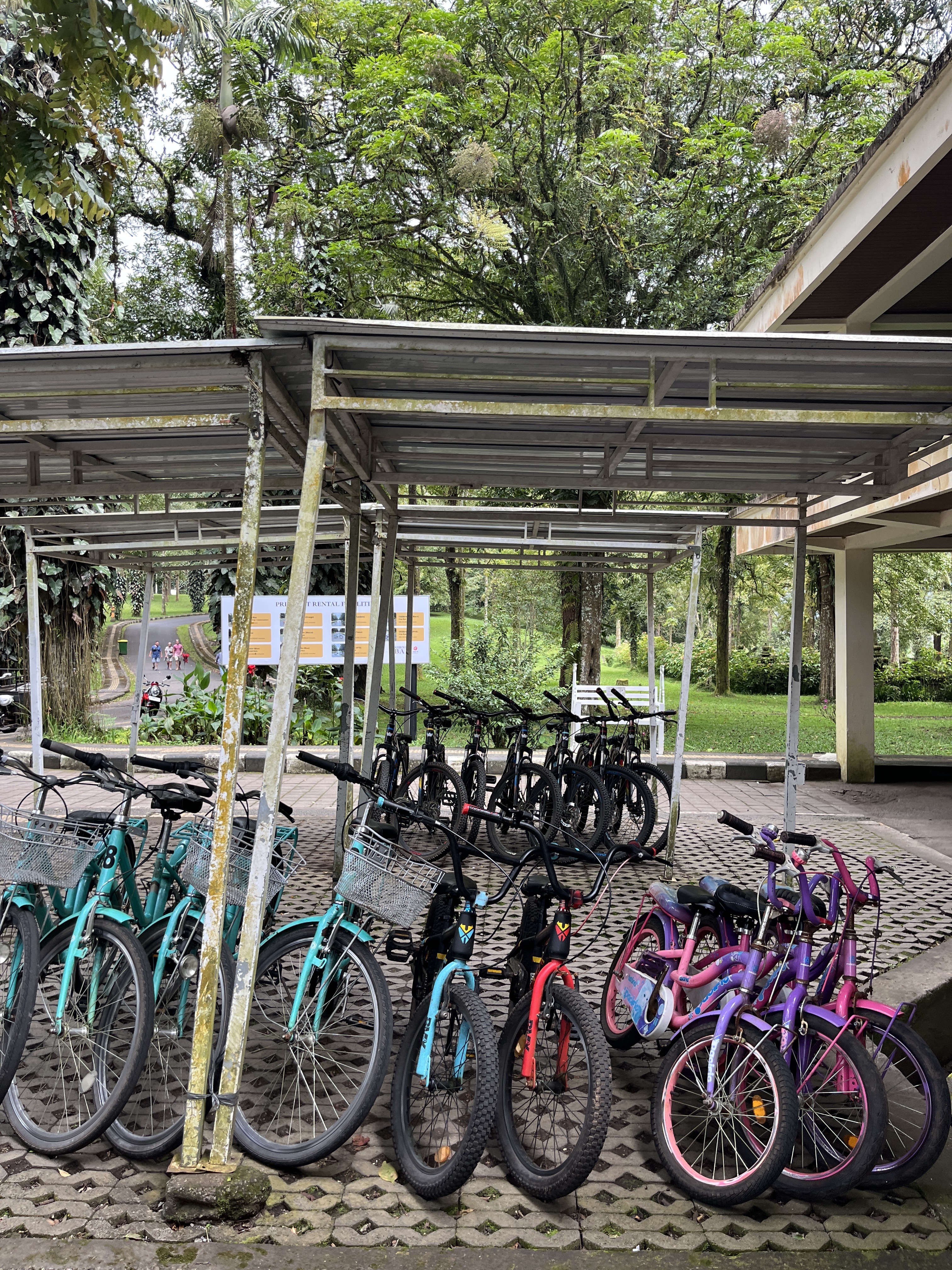 [발리] 발리 북부 브두굴 피크닉투어 한국어가이드 택시투어 폭포