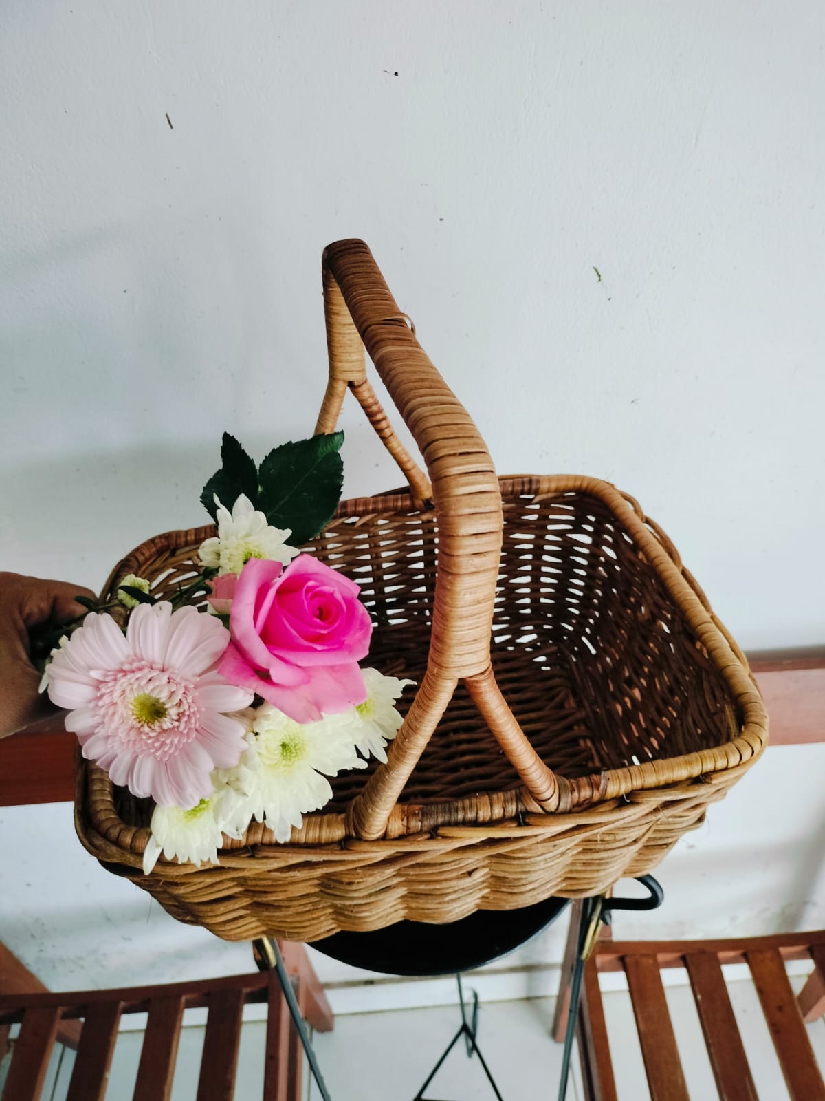 [발리] 발리 북부 브두굴 피크닉투어 한국어가이드 택시투어 폭포