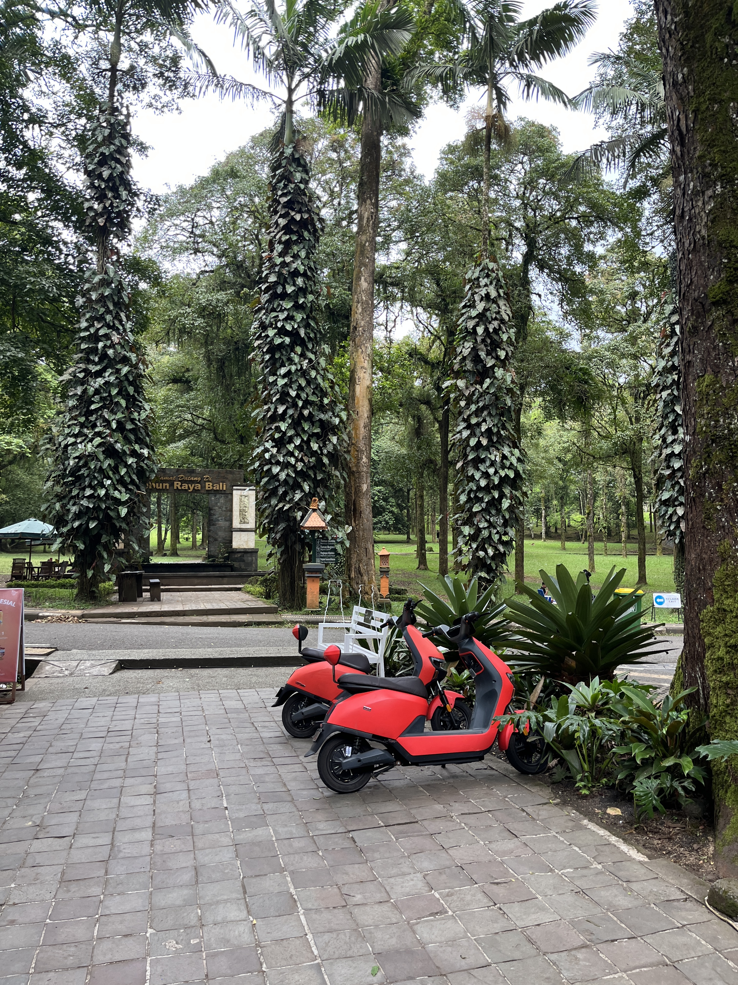 [발리] 발리 북부 브두굴 피크닉투어 한국어가이드 택시투어 폭포