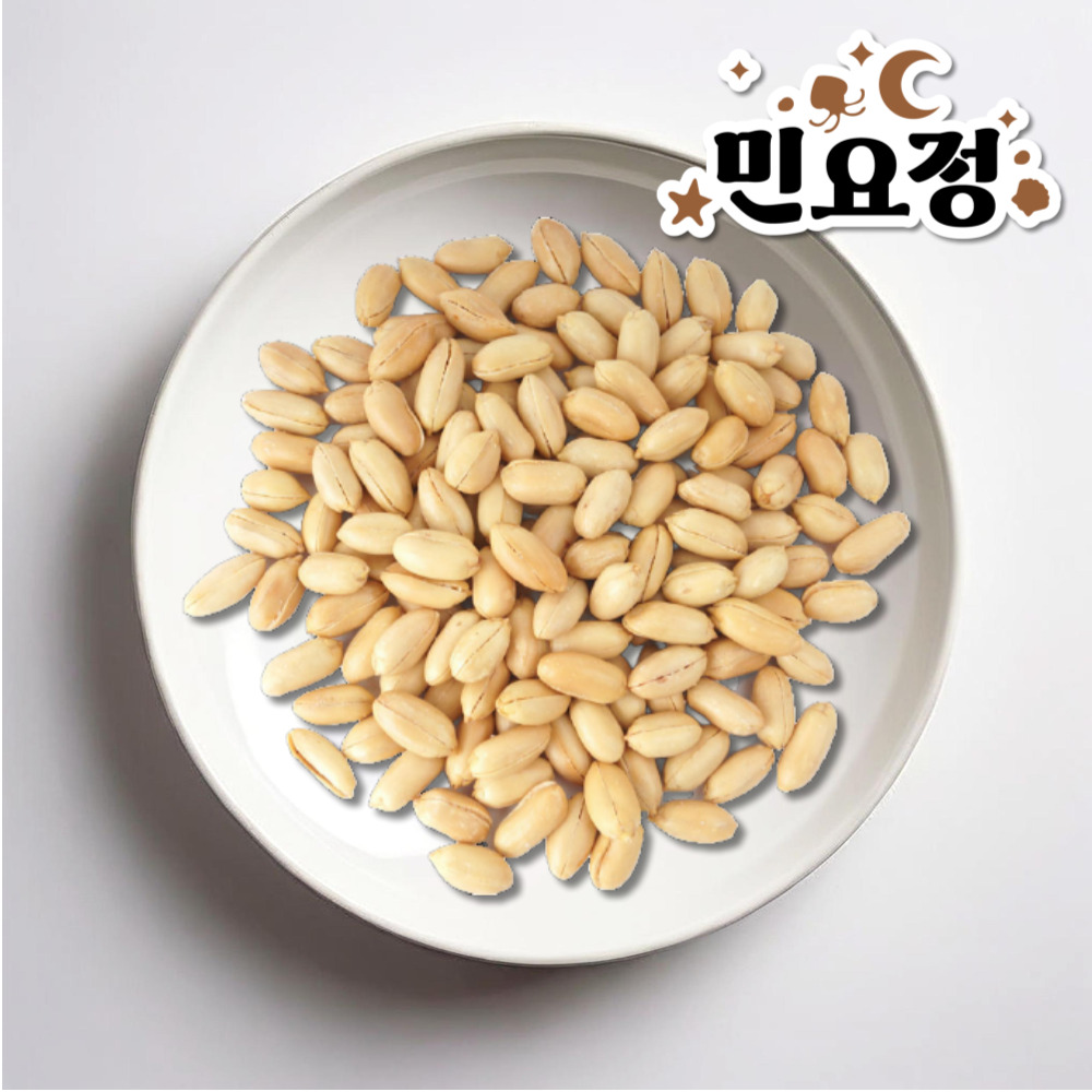 튀김 땅콩 조미 깐땅콩 가염 100g - 상품 이미지