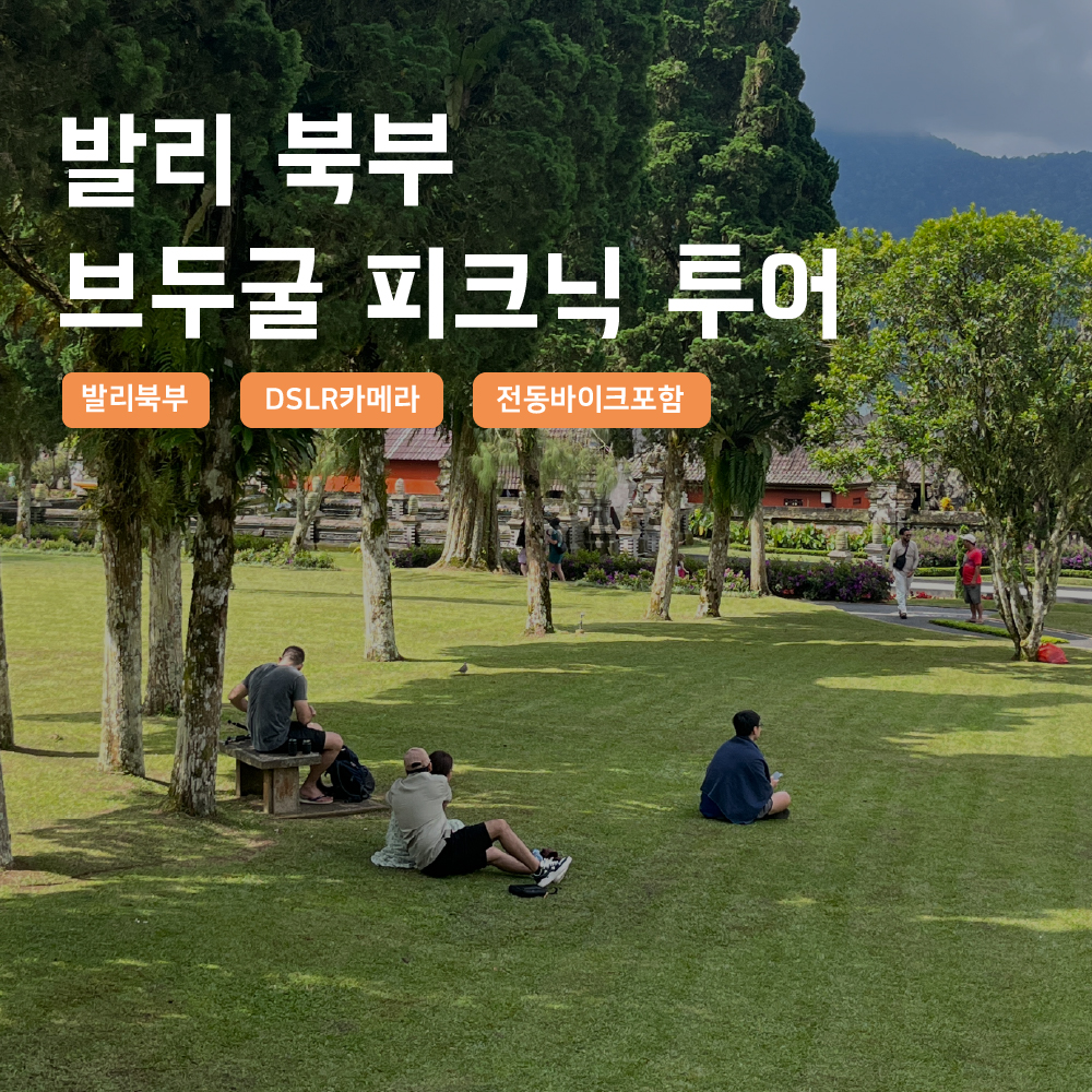 [발리] 발리 북부 브두굴 피크닉투어 한국어가이드 택시투어 폭포