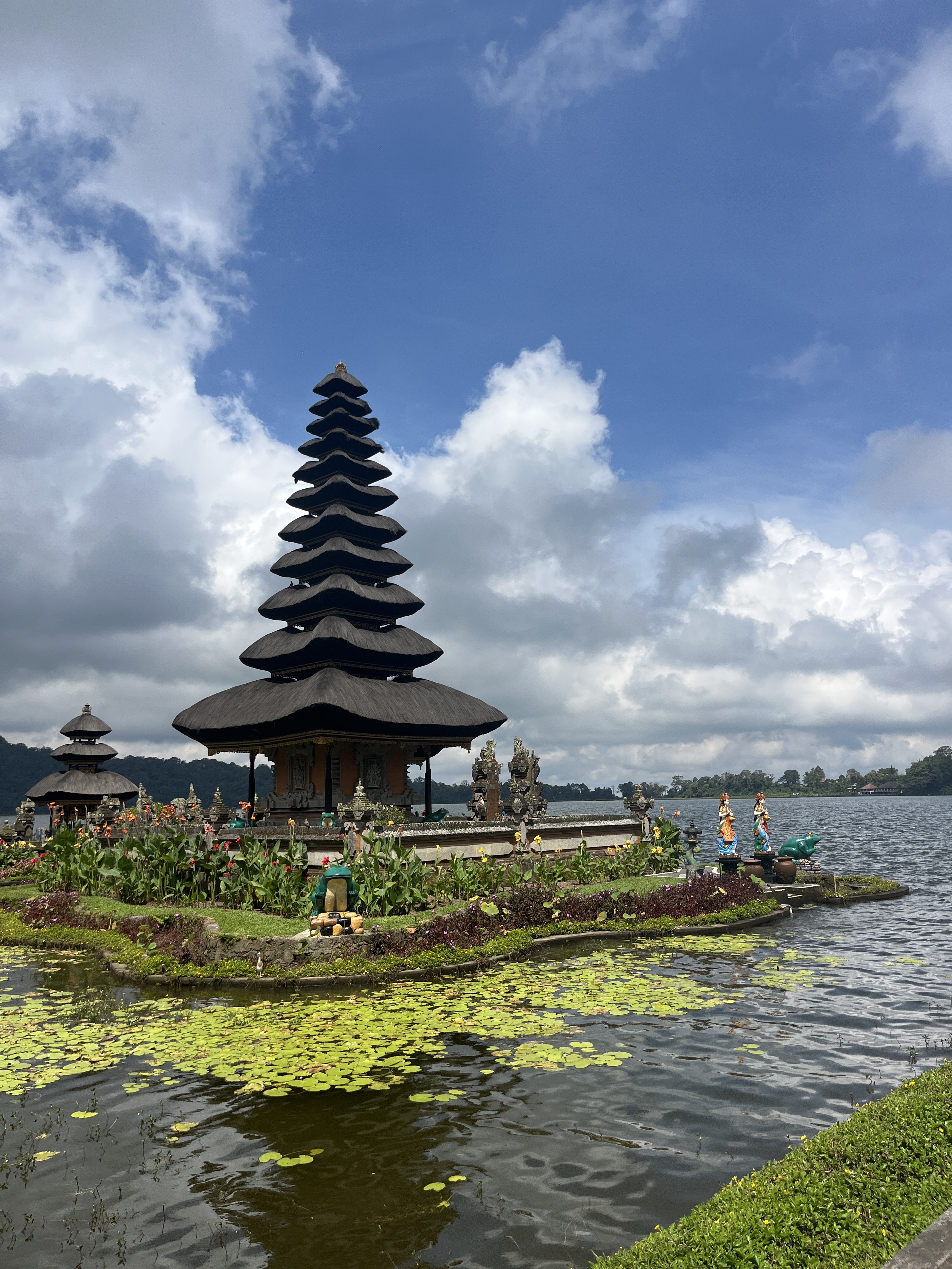 [발리] 발리 북부 브두굴 피크닉투어 한국어가이드 택시투어 폭포