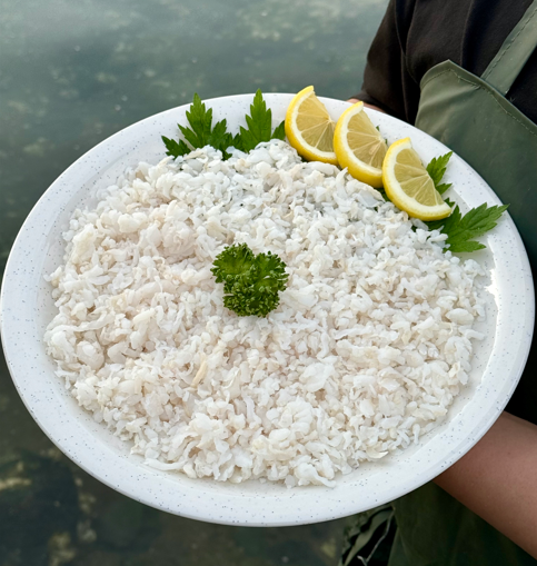 산지직송 자연산 아나고회 붕장어 1kg 칠암식 세꼬시 통영 자연산 - 상품 이미지