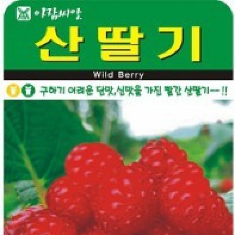 (씨앗나라) 산딸기 50립 구하기 어려운 씨앗 : 아뜨리에 썬