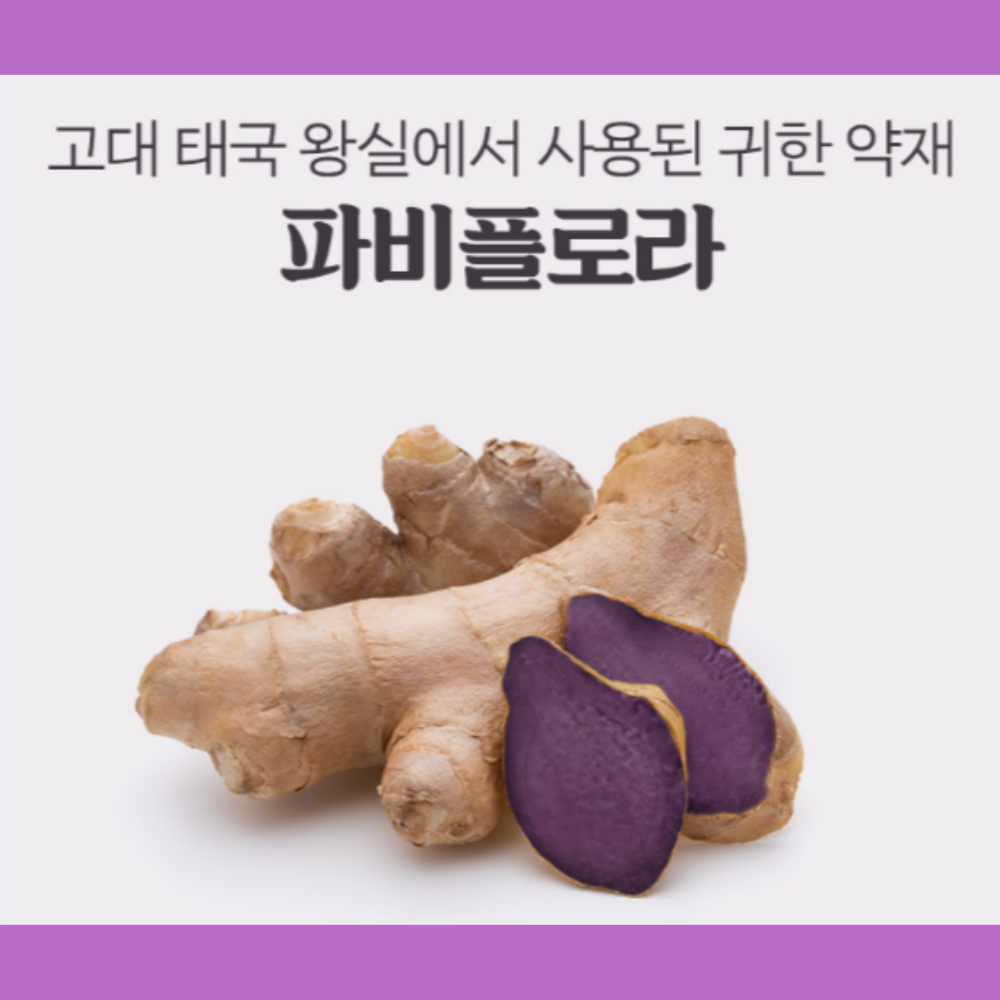 파피플로라 파비플로라 효능 흑생강 추출물 100티백 - 상세 이미지 2