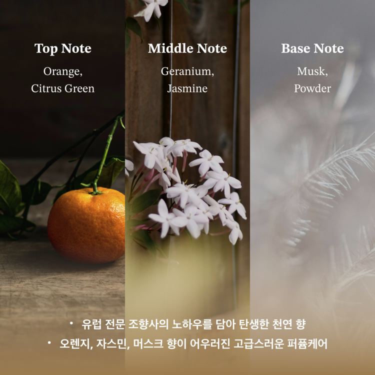 르디퍼 프리미엄 디퍼 헤어 오일 비건 천연 아르간 에센스 모발 보습 100ml - 상세 이미지 5