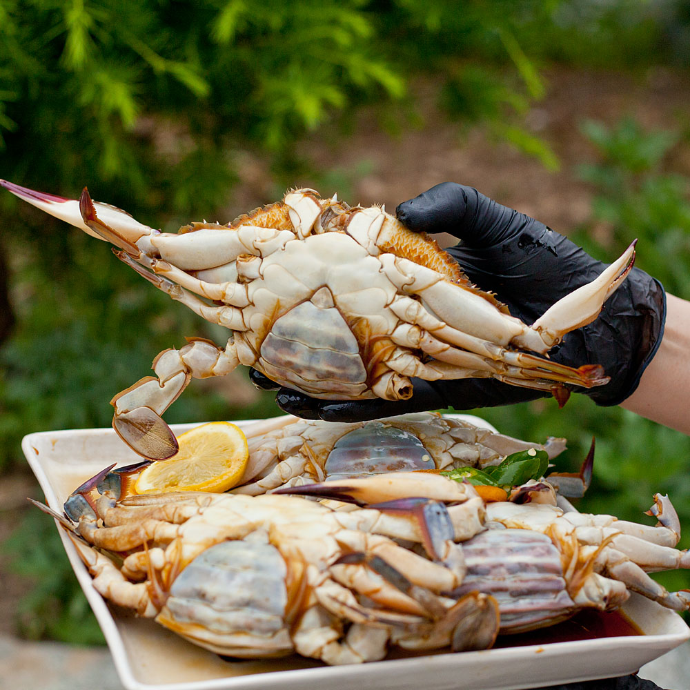 알배기 암꽃게장 간장게장 전라도 연평도 꽃게장 3.4kg, 1개 - 상세 이미지 3