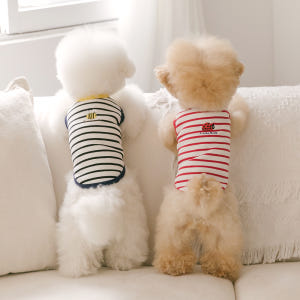 강아지옷 실내복 티셔츠 소형견 중형견 의류 데일리하트라인즈 솔직 후기 | 실제 사용자 리뷰 총정리 - 상품 이미지 3