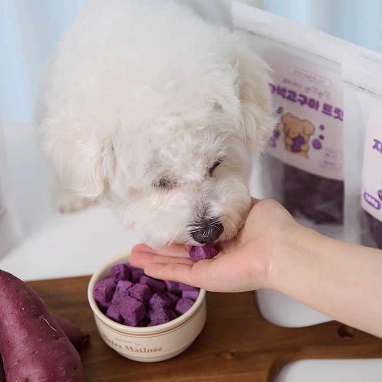 페네핏 강아지 동결건조 트릿 훈련 칭찬 저칼로리 간식 자색고구마, 100g, 2개 - 상세 이미지 2