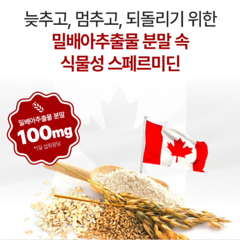효모 스페르미딘 맥스 효능 60정3통 - 상세 이미지 4