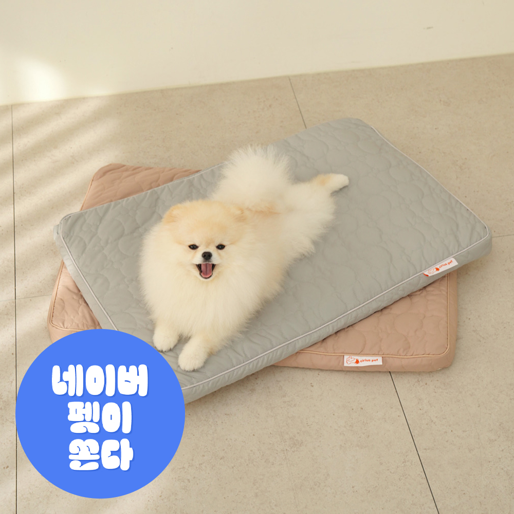 시리어스펫 슬개골 탄탄베드 강아지 슬개골 침대 매트리스 - 상품 이미지