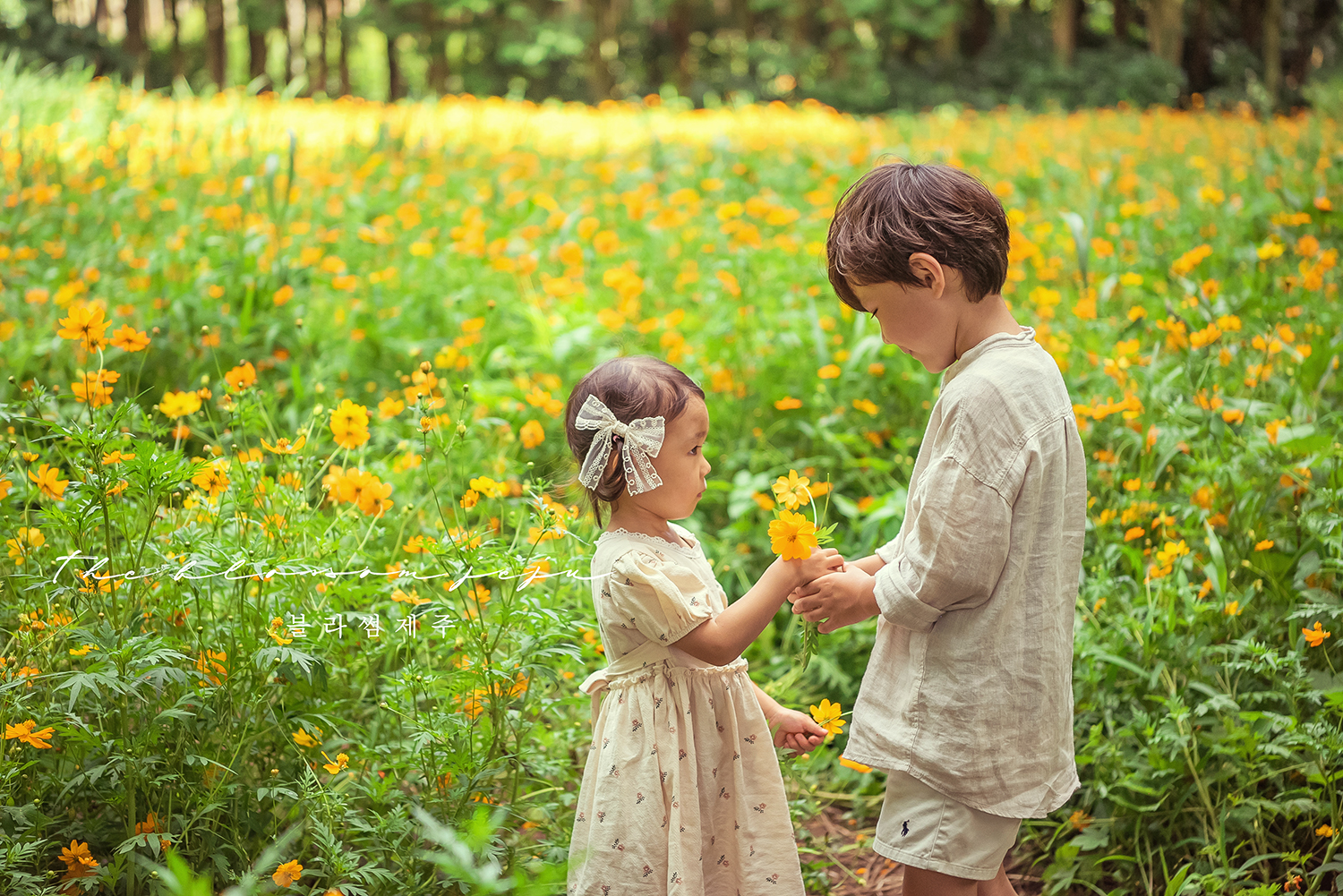 제주도 성장 아이 아기 야외스냅 돌 베이비 키즈 주니어 프로필 피크닉세트소품 앨범 액자
