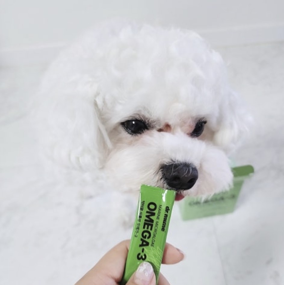 닥터뮨 식물성 오메가3 강아지 고양이 두뇌 심혈관 면역력 항산화 피부 30개입, 1개 이미지 2