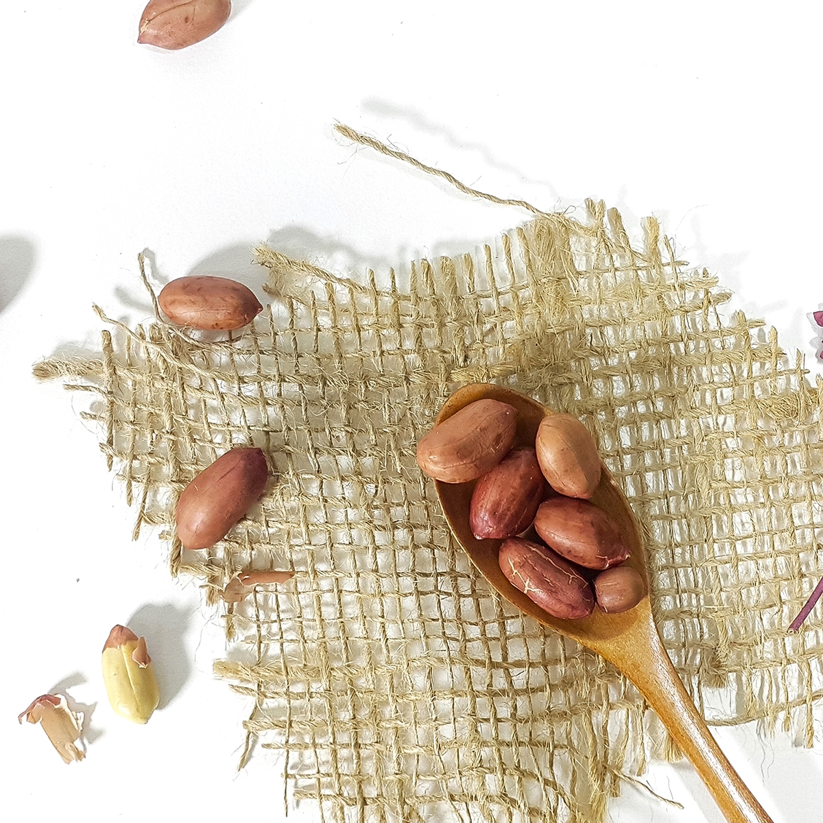 국산 볶은땅콩 햇 볶음 땅콩 알땅콩 500g, 1개 - 상세 이미지 2