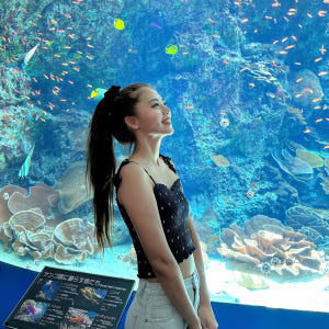 오키나와 버스투어 북부 1일 츄라우미수족관 티켓포함 유투어버스 자유여행 ... 솔직 후기 | 실사용자 리뷰 분석 - 상품 이미지 1