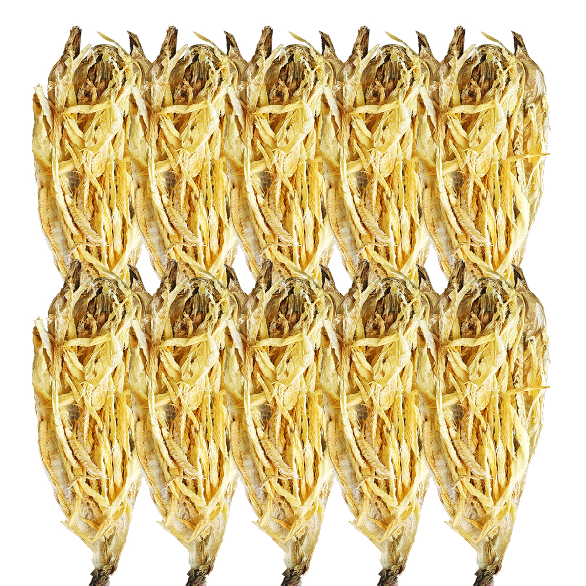 국내가공 손질먹태 (머리 먹태채 껍질) 먹태 100g, 10개