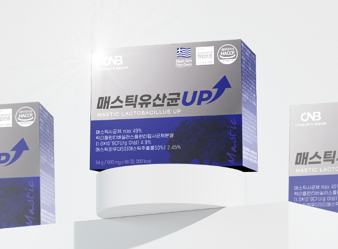 매스틱추출성분 메스틱 추출물 90 - 상세 이미지 4