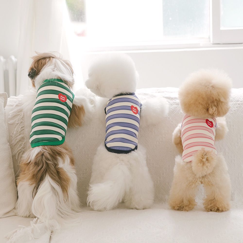 강아지 옷 애견 소형견 실내복 티셔츠 데일리하트 제품 이미지