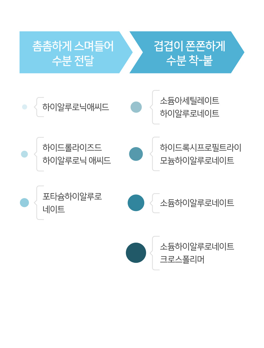 코리아나 쉬니즈 워터핏 히알루론 앰플 50ml 2개(2026년 3월까지) - 상세 이미지 5