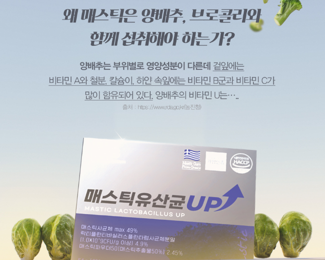 매스틱추출성분 메스틱 추출물 90 - 상세 이미지 5