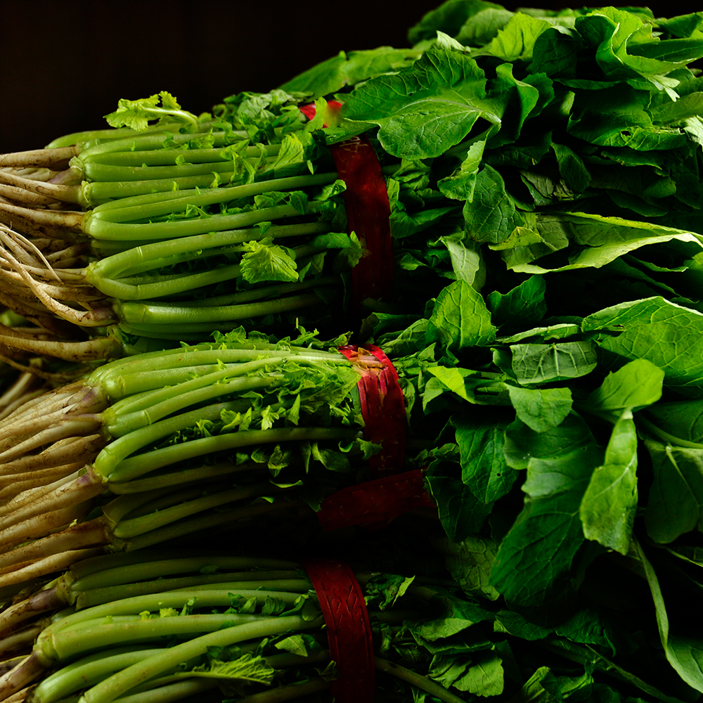 국내산 열무김치 열무 물김치 2kg 김치 - 상세 이미지 5