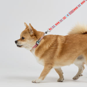 일로 오리지널 목줄 강아지 반려견 소형견 중형견 피버, M 솔직 후기 | 실제 사용자 리뷰 총정리 - 상품 이미지 3