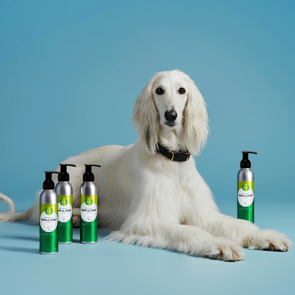 강아지 피부 영양제 알러지 발사탕 반려견 핀란드 오메가3 뉴트롤린 스킨앤코트 260ml 이미지 3