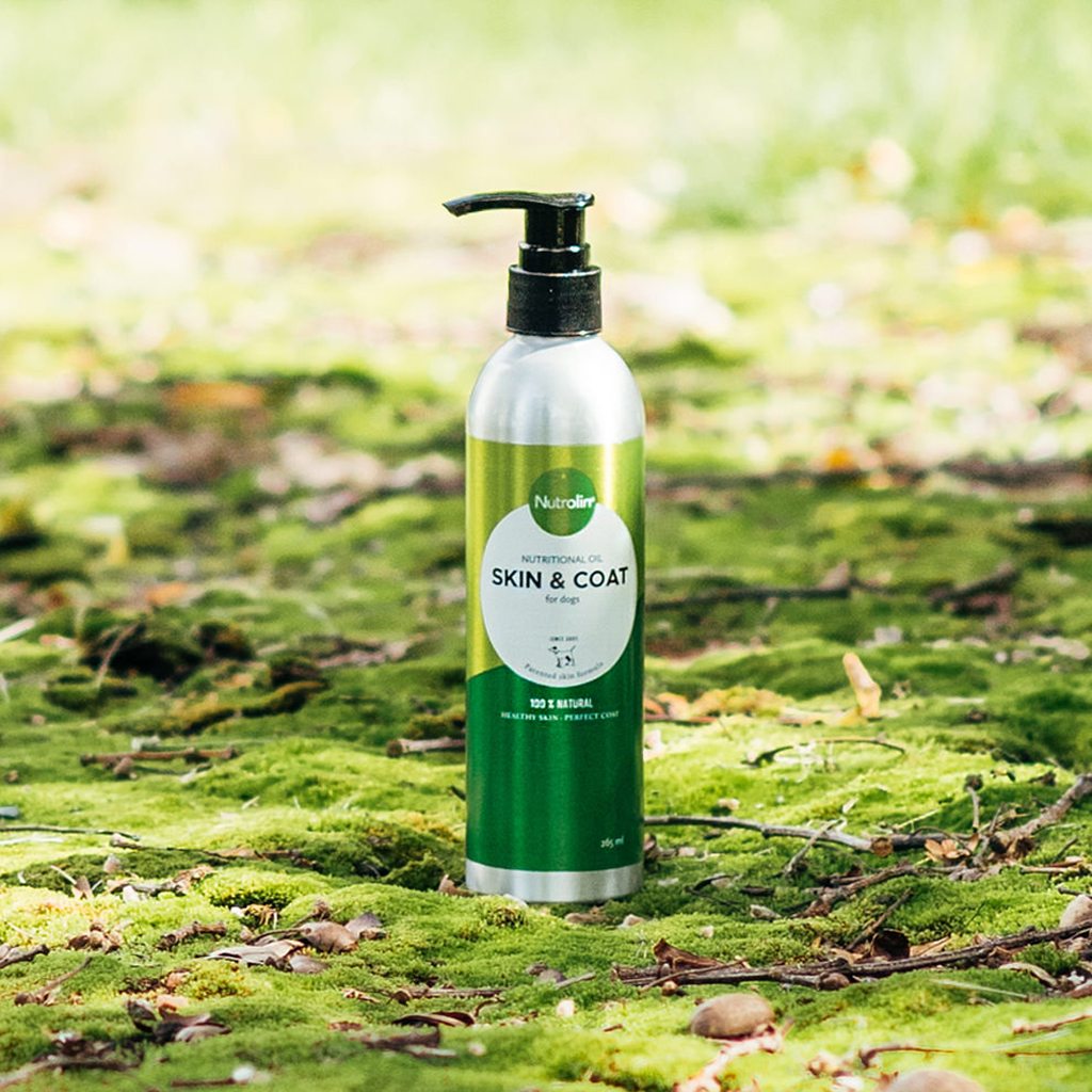 강아지 피부 영양제 알러지 발사탕 반려견 핀란드 오메가3 뉴트롤린 스킨앤코트 260ml 이미지 4