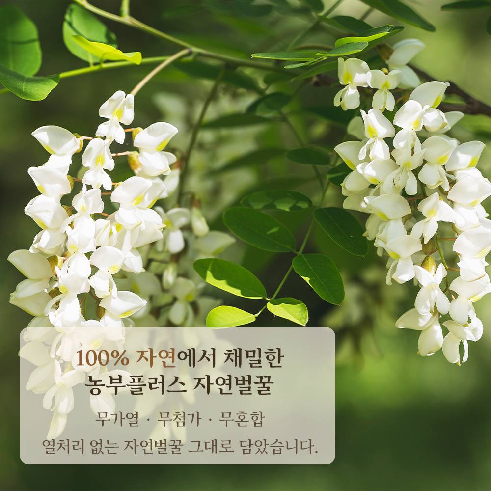 국산 토종꿀 아카시아꿀 1kg 농부플러스