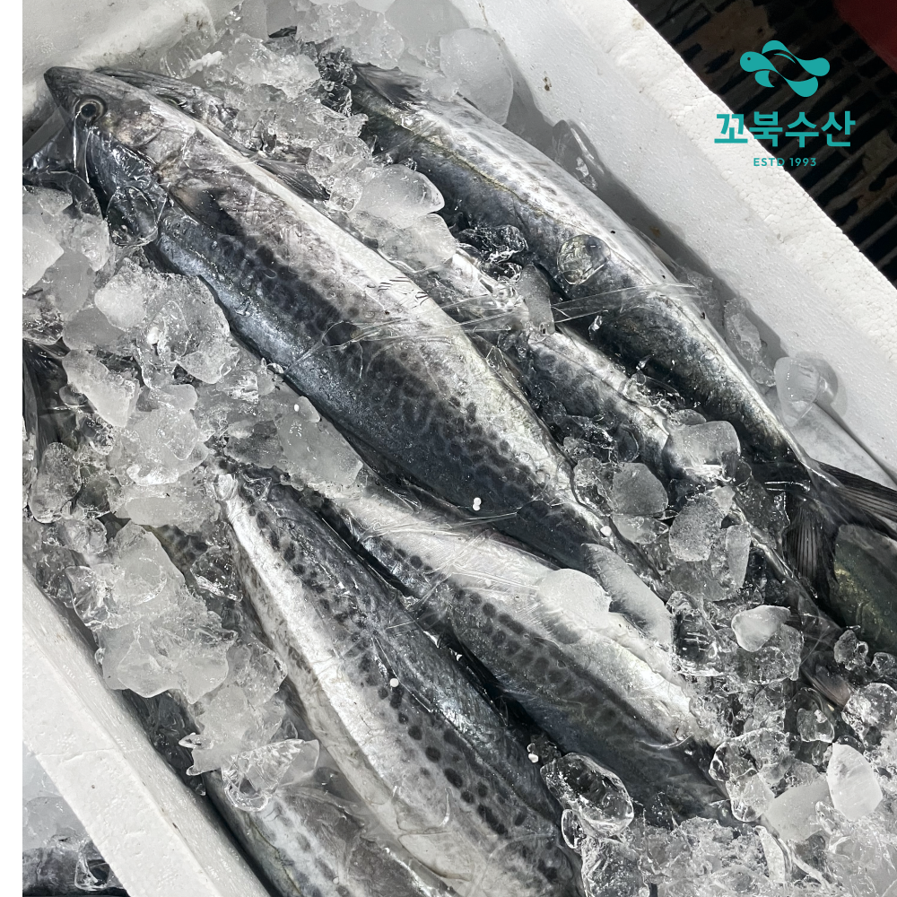 국내산 대삼치살 순살 토막 1kg 특대 손질 삼치구이 - 상세 이미지 3