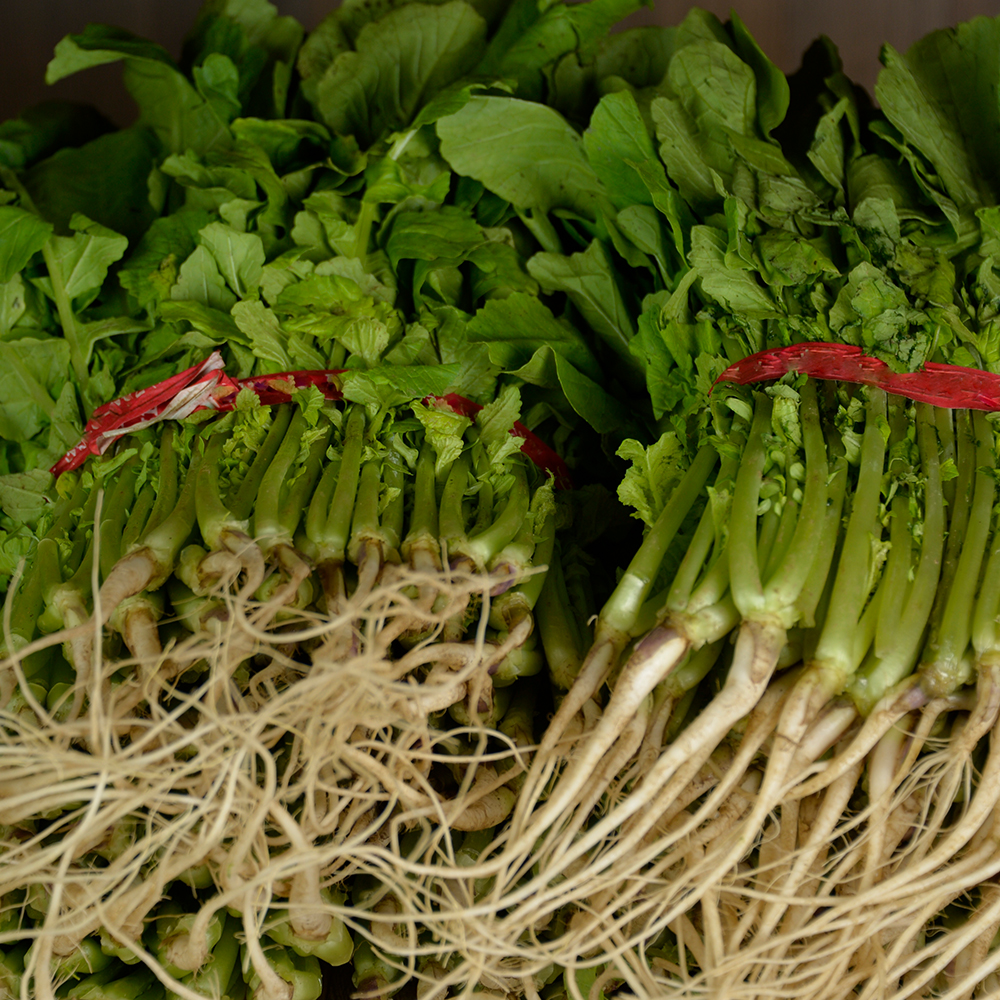 국내산 열무김치 열무 물김치 2kg 김치 - 상세 이미지 4