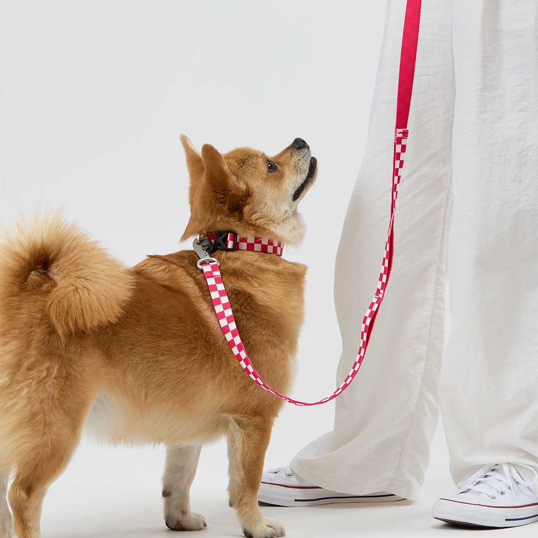 일로 리쉬 리드줄 반려견 산책용품 2m 텐텐 핑크, 2.4m 핸즈프리