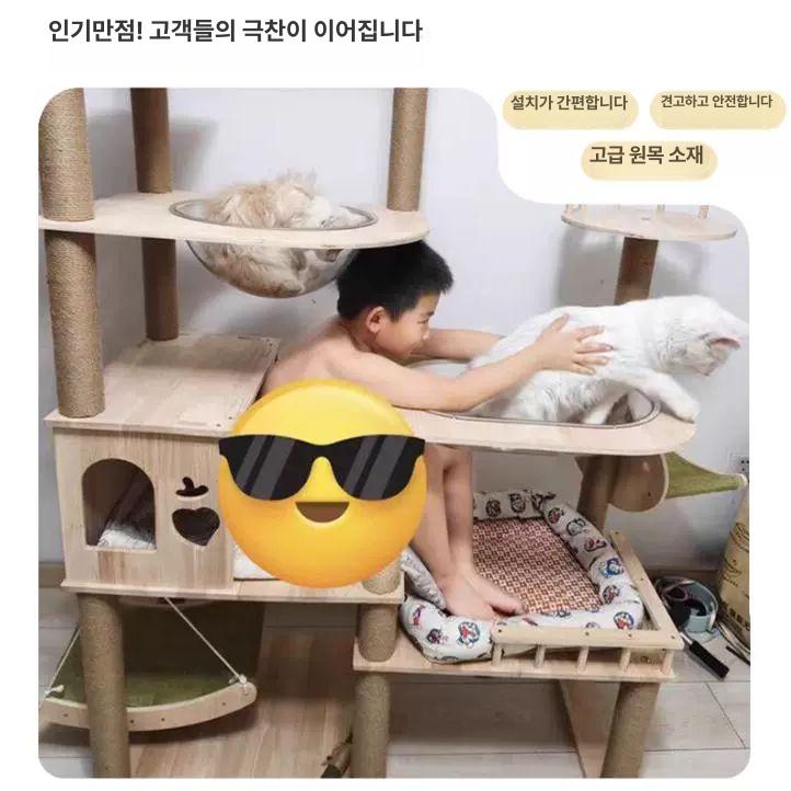 고급 고양이 하우스 반려묘 놀이터 소형캣타워 장난감 침대 놀이 공간 집 고무나무 DK01 - 상세 이미지 2