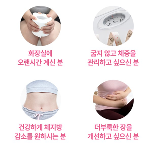 헬씨허그 눈꽃 차전자피 다이어트 28포 1박스 1주 쾌변 가르시니아 캄보지아 식이섬유 효능 - 상세 이미지 3