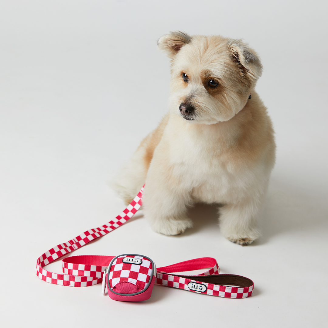 일로 리쉬 리드줄 반려견 산책용품 2m 텐텐 핑크, 2.4m 핸즈프리