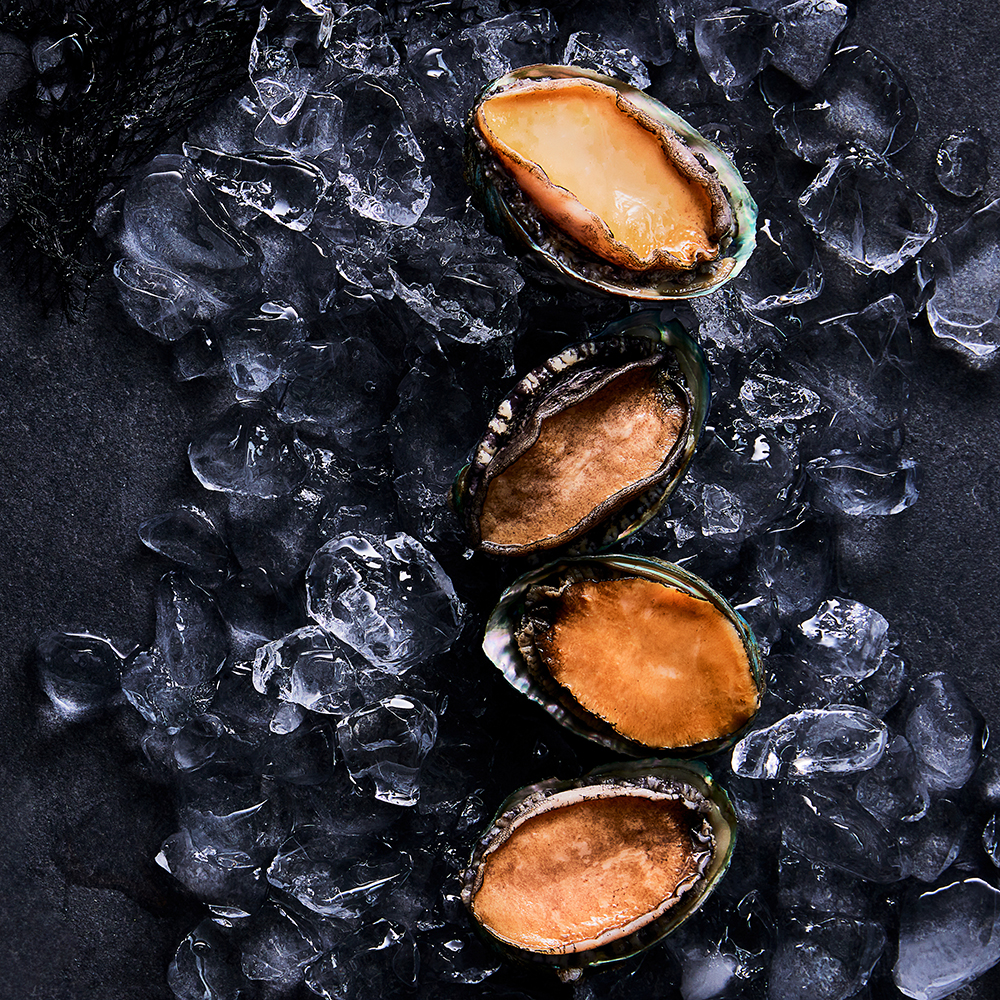 완도 활 전복 1kg 8미부터 15미 특대 선물세트