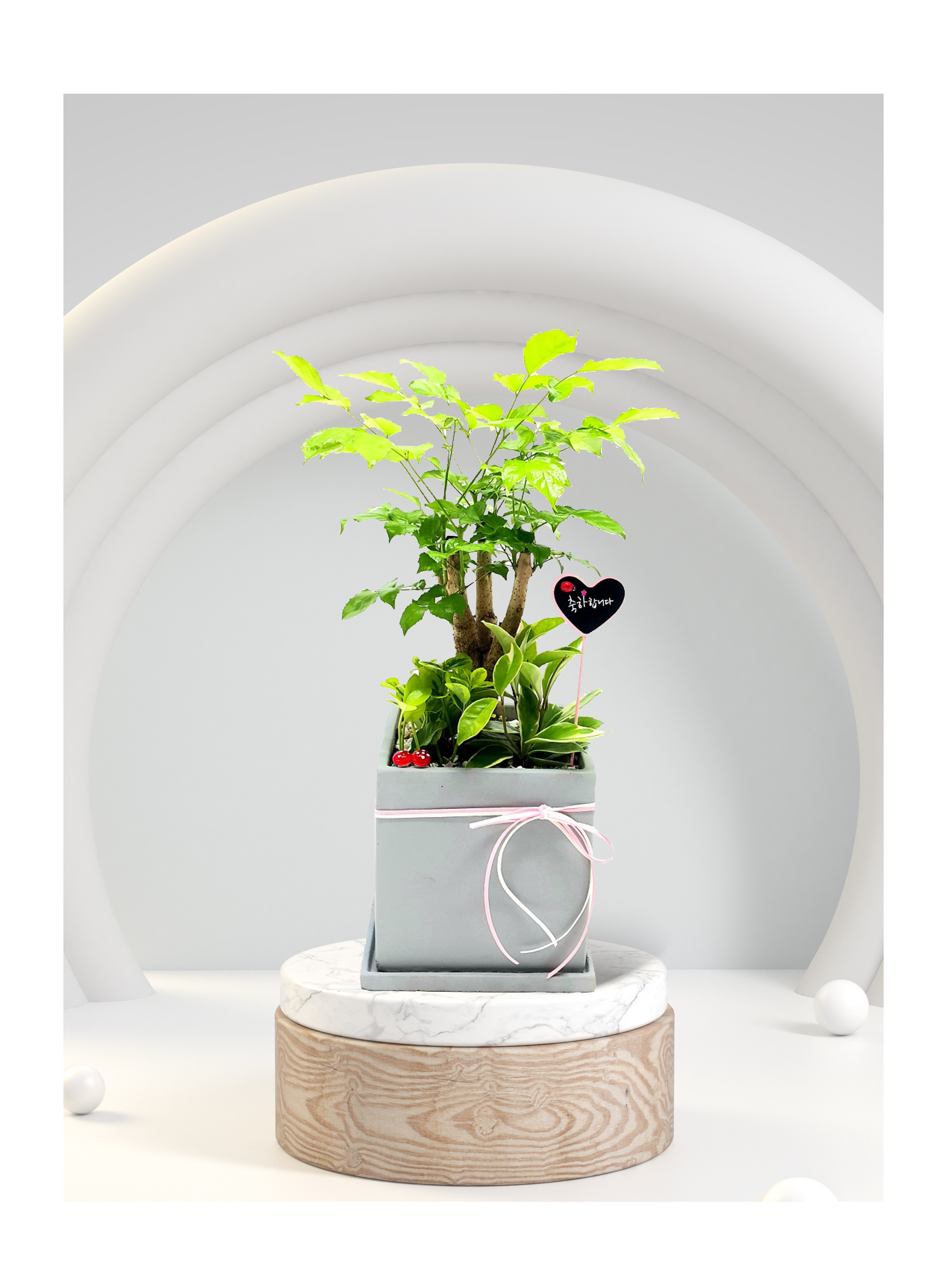 해피트리 탁상용소품 개업 이전 취임 승진 개업식 축하 화분 화환 예도 전국 꽃배달 서비스