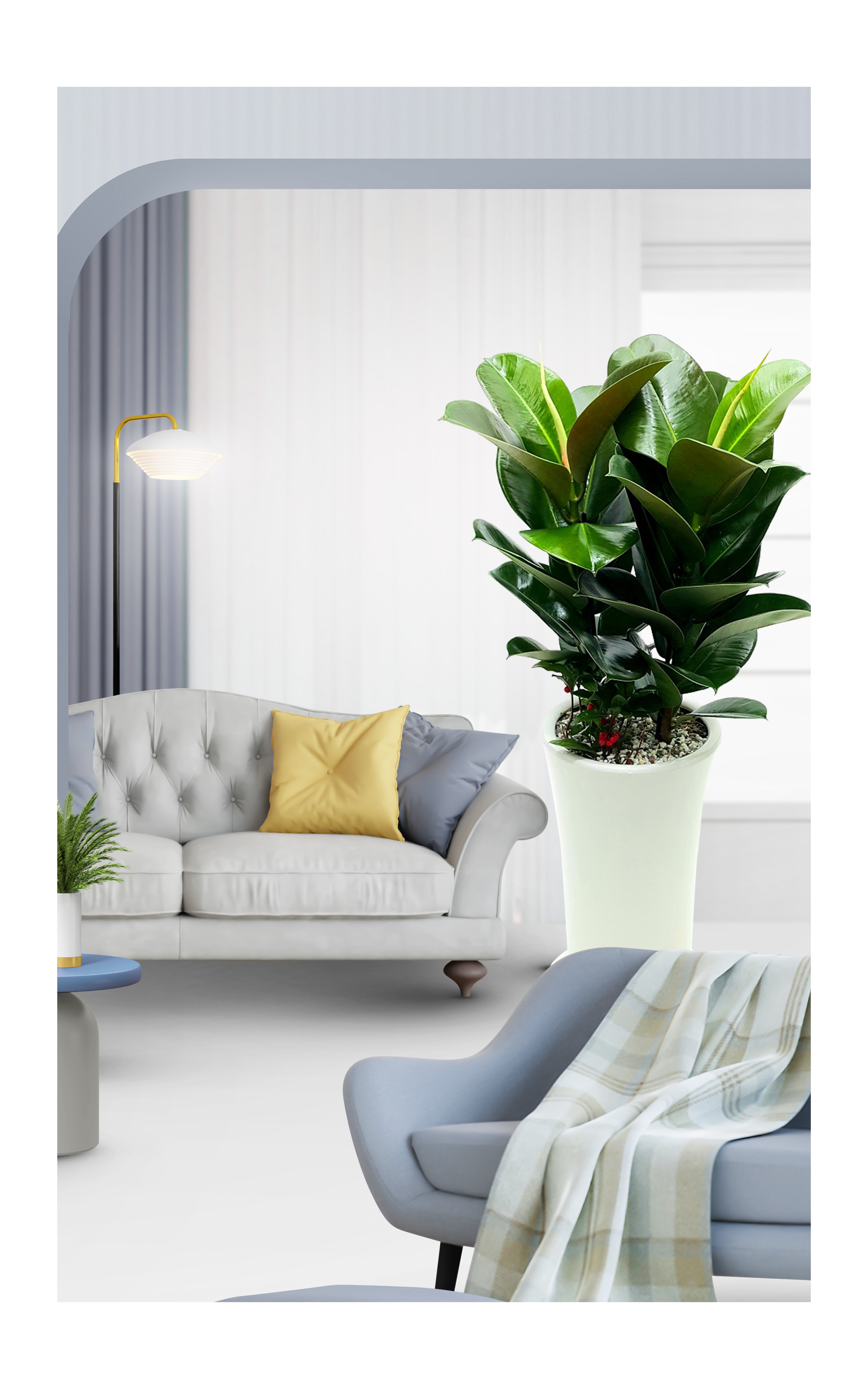 고무나무 대품 관엽 개업 이전 취임 승진 개업식 축하 화분 예도화환 전국 꽃배달 서비스