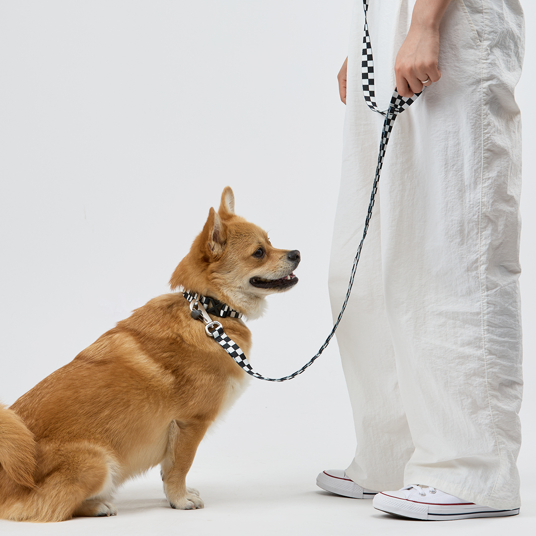 일로 리쉬 리드줄 반려견 산책용품 2m 텐텐 블랙, 2.4m 핸즈프리