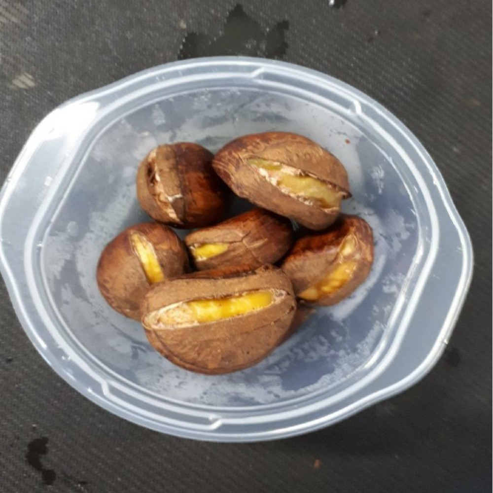프리미엄 공주 알밤 대보칼집 옥광 깐 밤 산지직송 밤 2kg - 상세 이미지 5