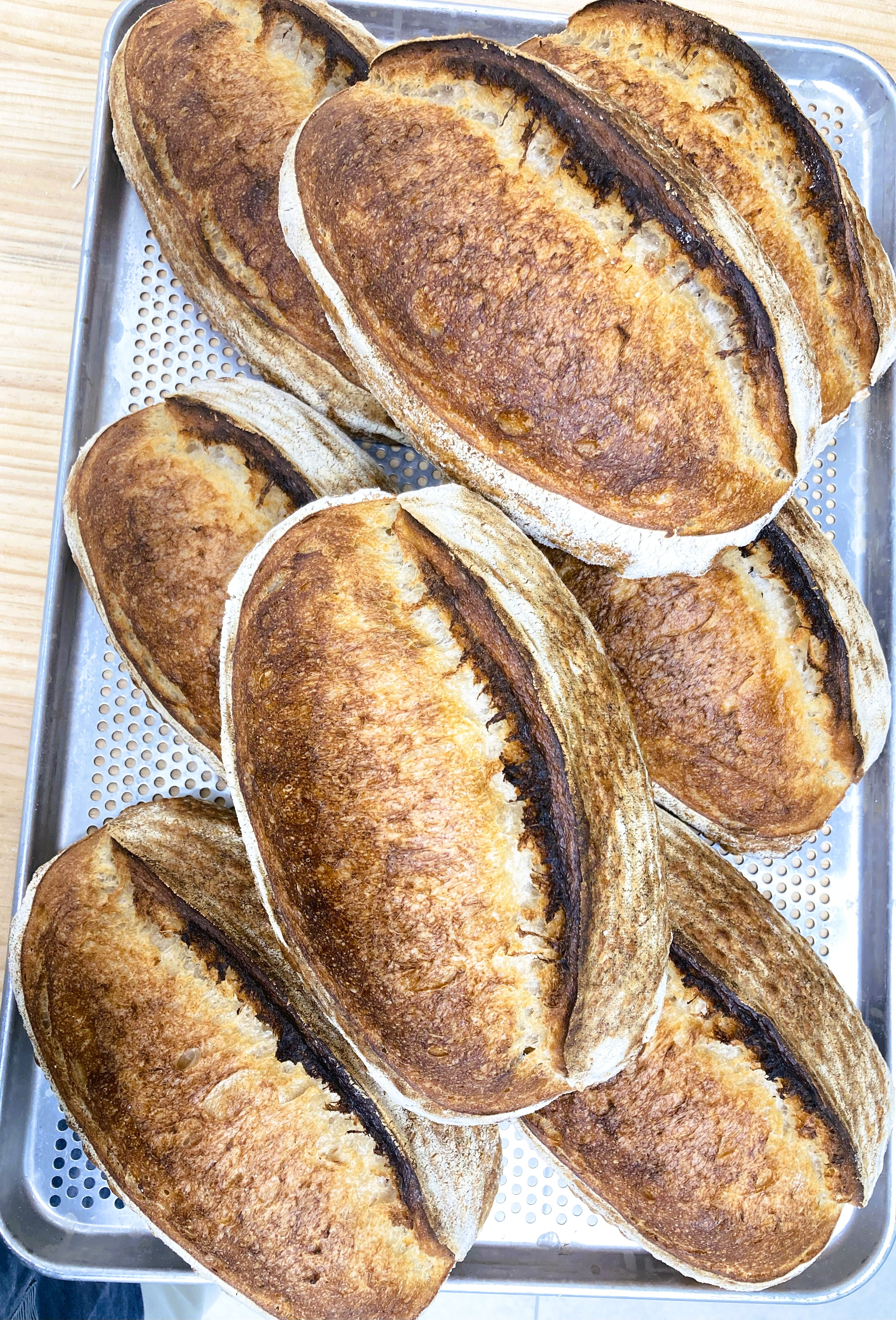 [milbridge] 플레인 사워도우 (건강 식사빵 / 천연발효 유럽빵 맛집) - 상세 이미지 5