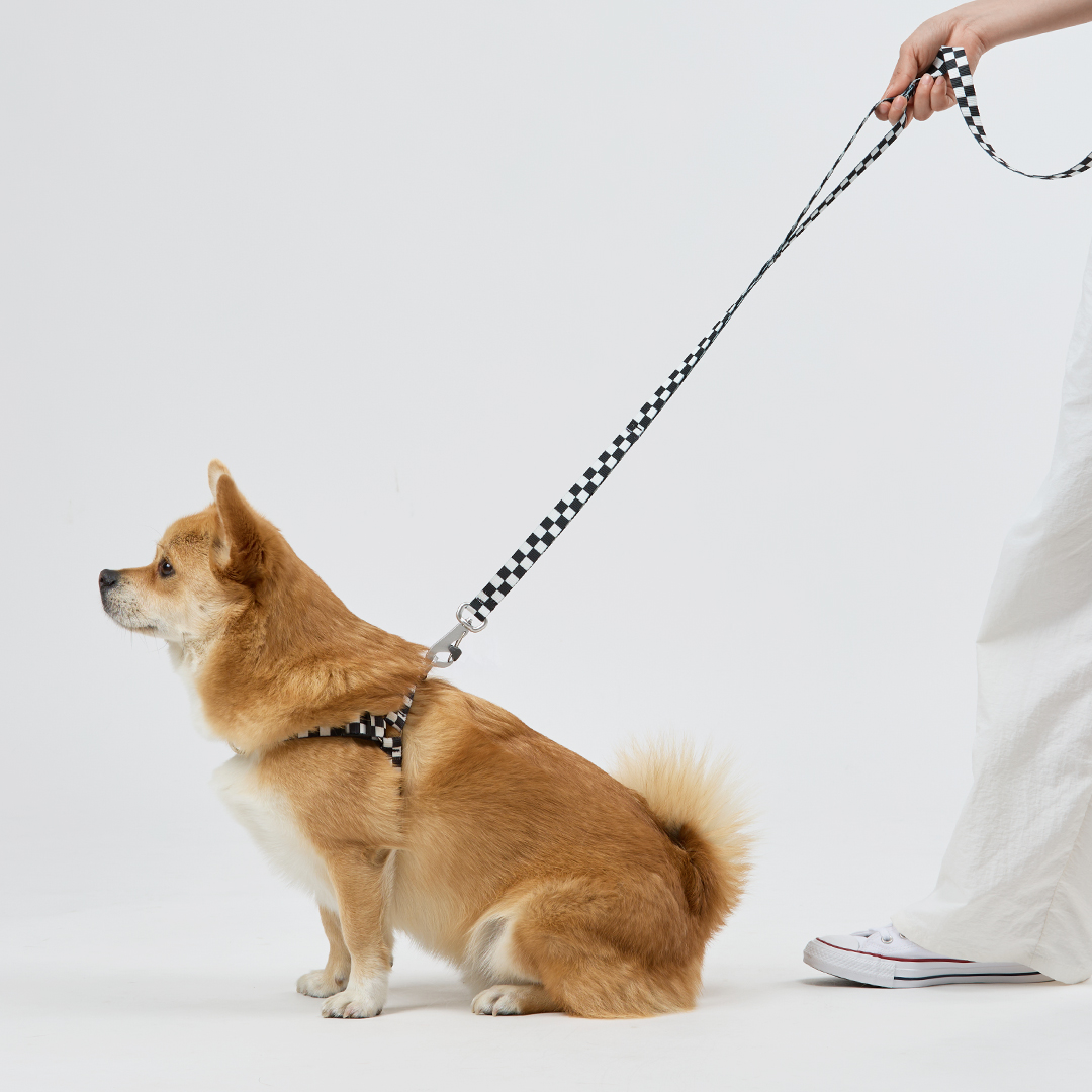 일로 리쉬 리드줄 반려견 산책용품 2m 텐텐 블랙, 2.4m 핸즈프리