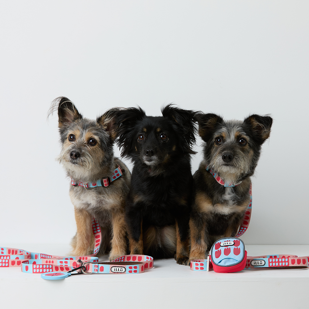 일로 리쉬 리드줄 반려견 산책용품 2m 피버, 2.4m 핸즈프리