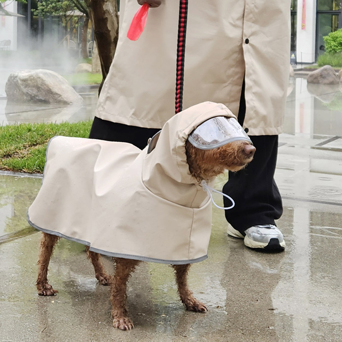 쭈쭈야 강아지 우비 레인코트 비옷 M 판초 강아지옷 이미지 2