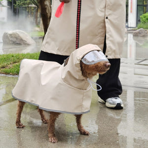 쭈쭈야 강아지 우비 레인코트 비옷 M 판초 강아지옷 솔직 후기 | 실제 사용자 리뷰 총정리 - 상품 이미지 2