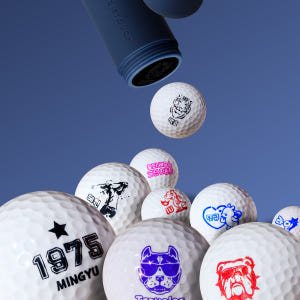 골프공도장 볼마킹 골프공스탬프 골프용품 공마크 귀여운동물얼굴(1) 운동러 솔직 후기 | 실사용 리뷰 - 상품 이미지 1