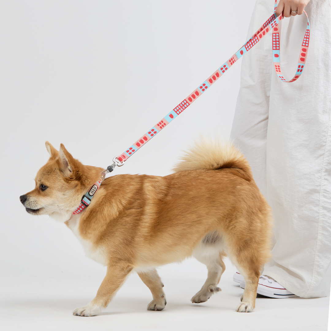 일로 리쉬 리드줄 반려견 산책용품 2m 피버, 2.4m 핸즈프리