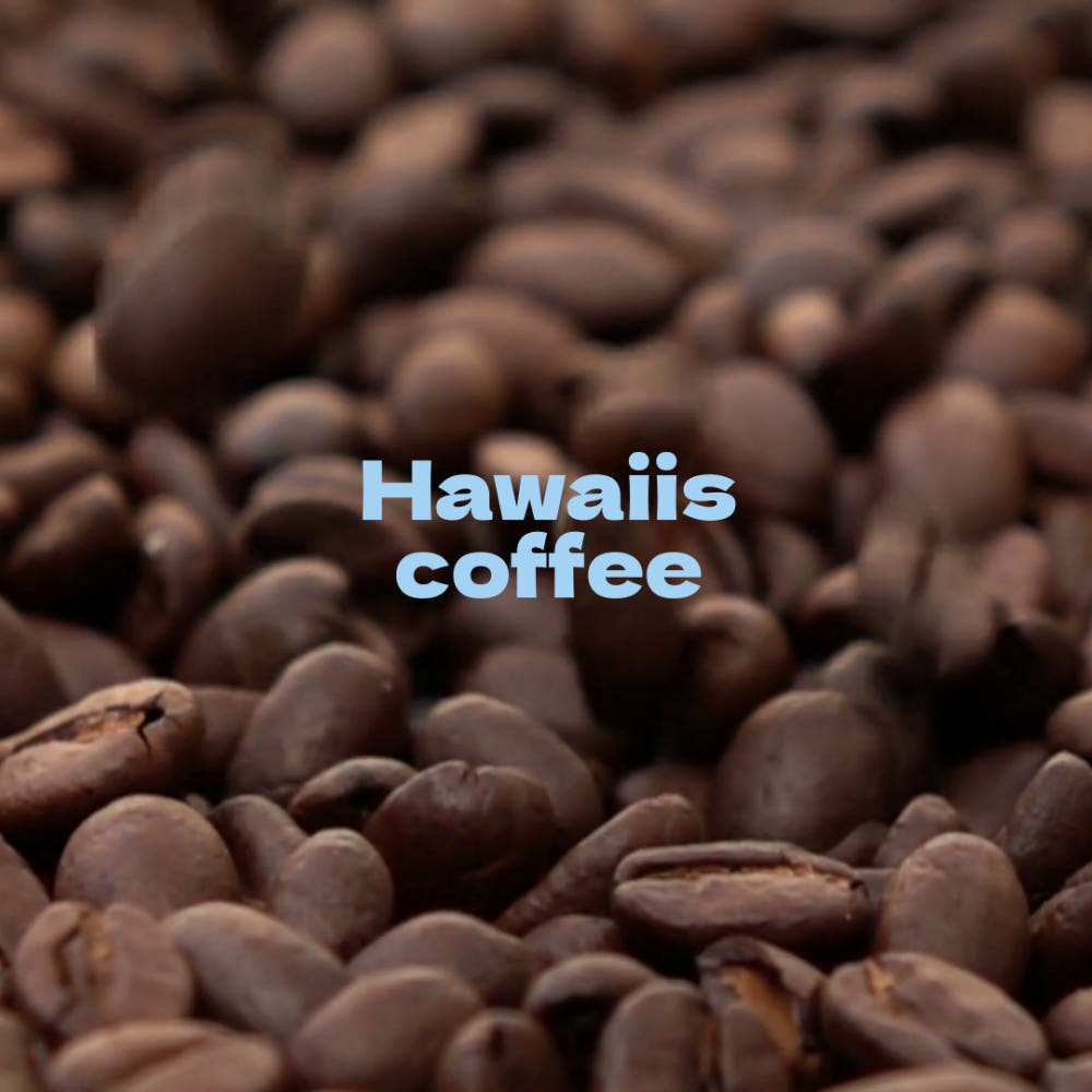 원두커피 1kg 고소한 베트남 로부스타 G1