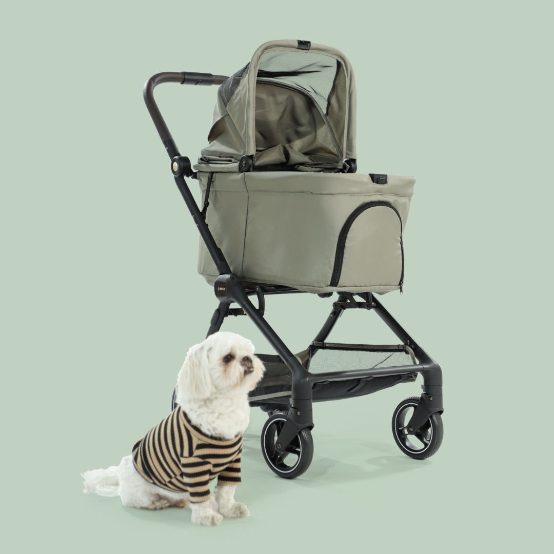 오토폴딩 강아지유모차 NUVY 누비 펫유모차 가벼운 개모차 애견 노견산책 헤이즐그린, FREE(One size)